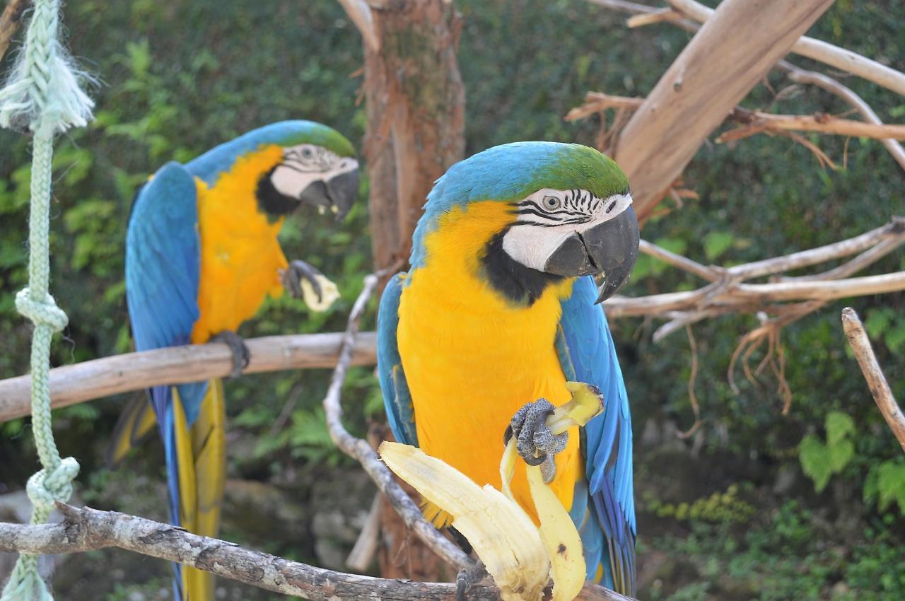 Pousada Tere Parque Teresópolis Kültér fotó
